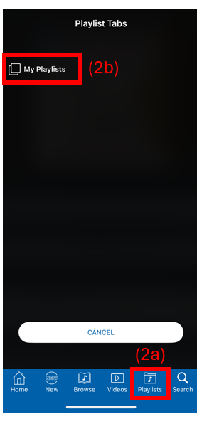 NML playlist